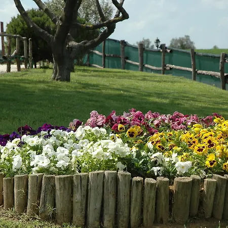 Casale Il Colle Vakantiehuis