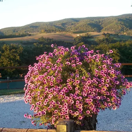 Casale Il Colle Vakantiehuis