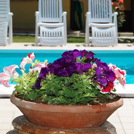 Casa vacanze Casale Il Colle