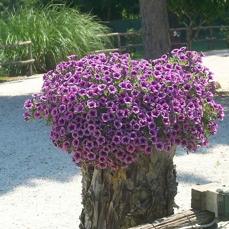 Casale Il Colle Deruta