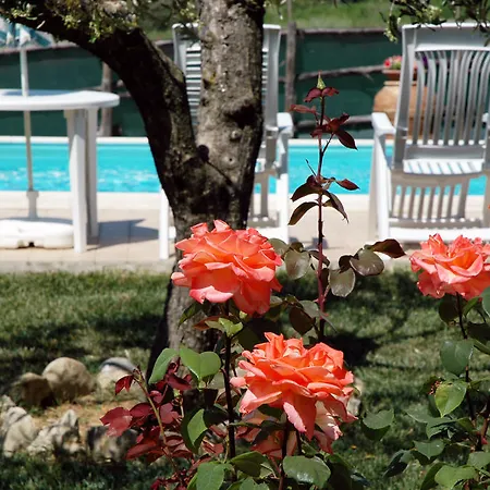 Vakantiehuis Casale Il Colle