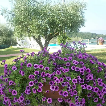 Vakantiehuis Casale Il Colle *