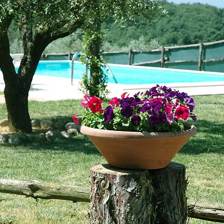 Casale Il Colle Vakantiehuis *