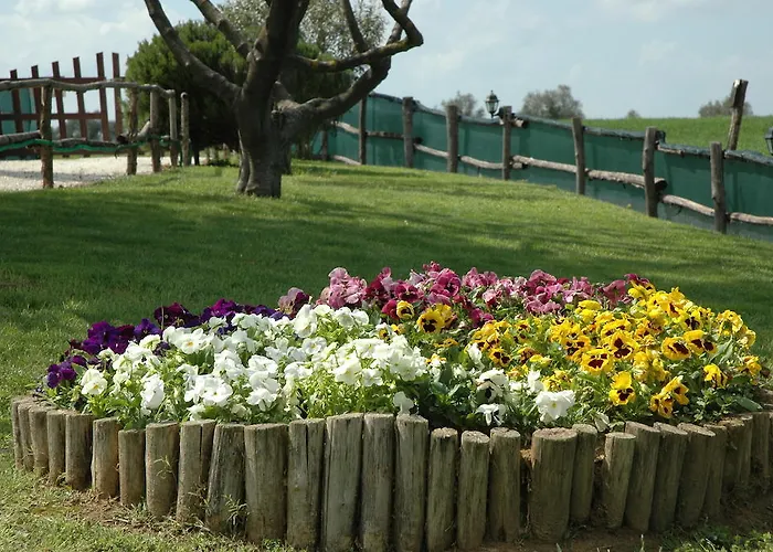 Casale Il Colle Casa de Férias