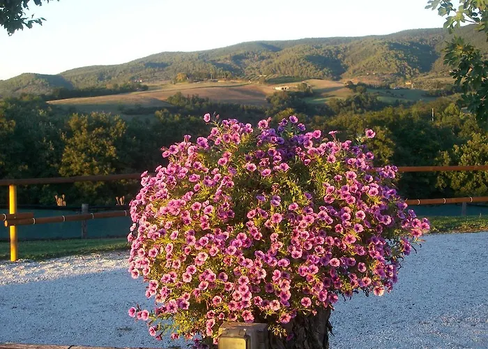 Casale Il Colle Casa vacanze