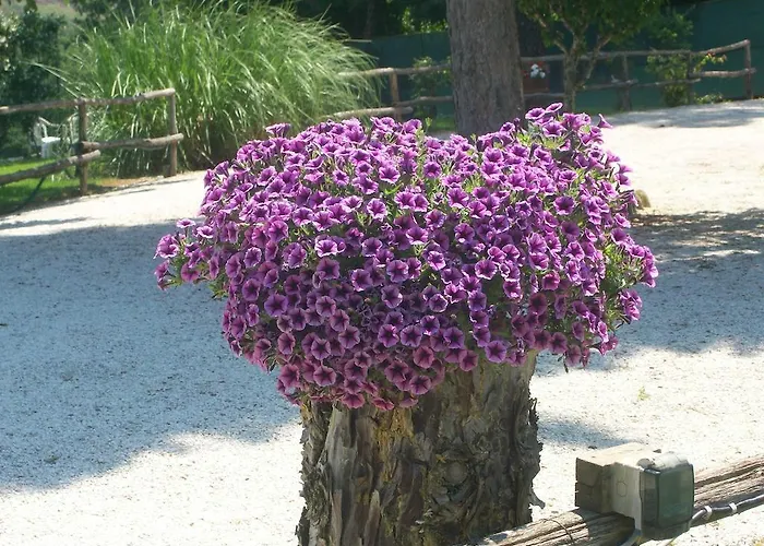 Casale Il Colle Deruta