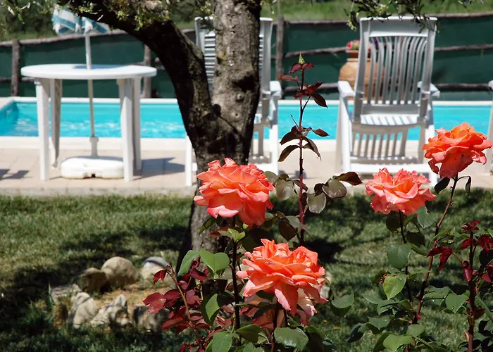 Casa vacanze Casale Il Colle