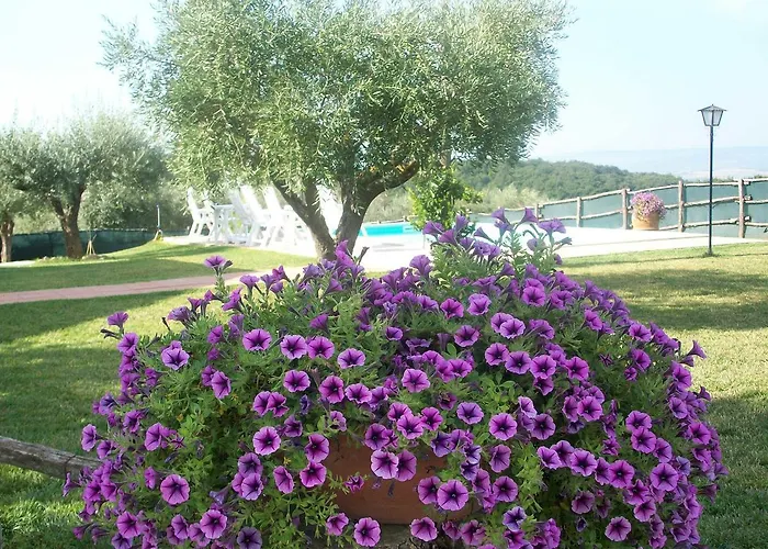 Casa vacanze Casale Il Colle *