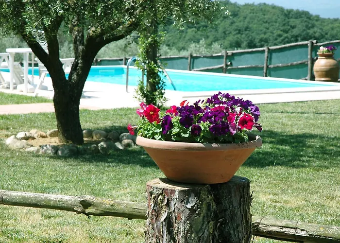 Casale Il Colle Casa vacanze *